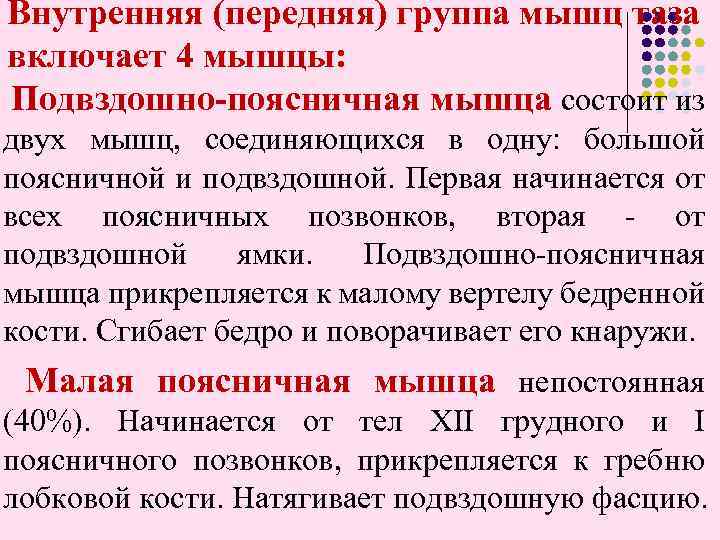 Внутренняя (передняя) группа мышц таза включает 4 мышцы: Подвздошно-поясничная мышца состоит из двух мышц,