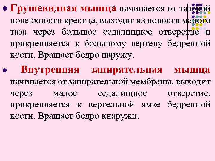 l Грушевидная мышца начинается от тазовой поверхности крестца, выходит из полости малого таза через