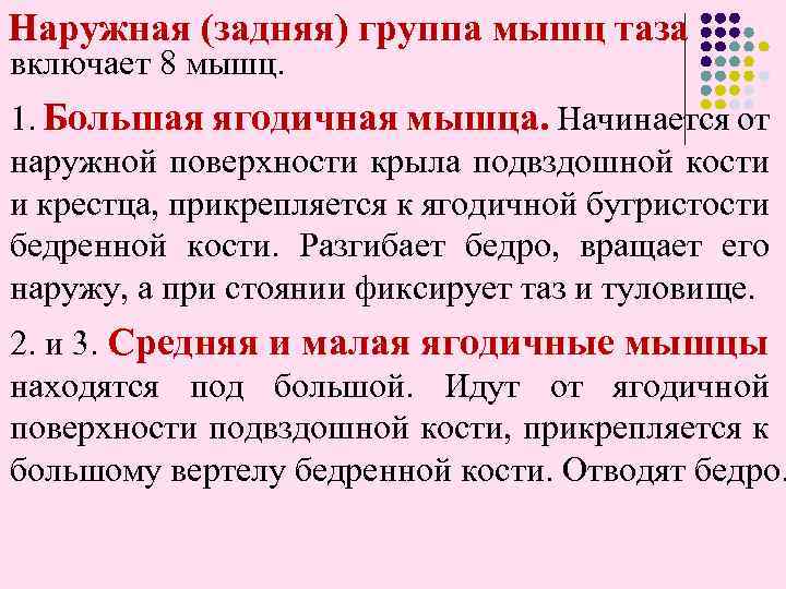 Наружная (задняя) группа мышц таза включает 8 мышц. 1. Большая ягодичная мышца. Начинается от