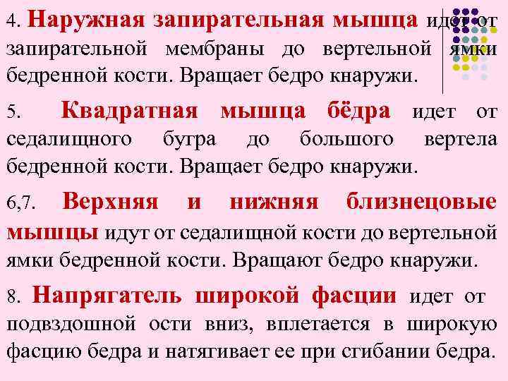 4. Наружная запирательная мышца идет от запирательной мембраны до вертельной ямки бедренной кости. Вращает