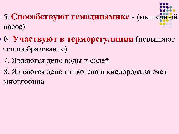 l l 5. Способствуют гемодинамике - (мышечный насос) 6. Участвуют в терморегуляции (повышают теплообразование)