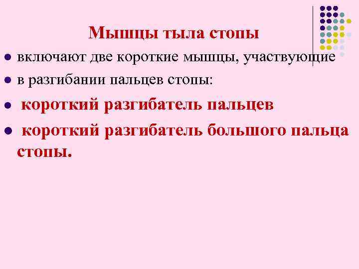 Мышцы тыла стопы l включают две короткие мышцы, участвующие в разгибании пальцев стопы: l