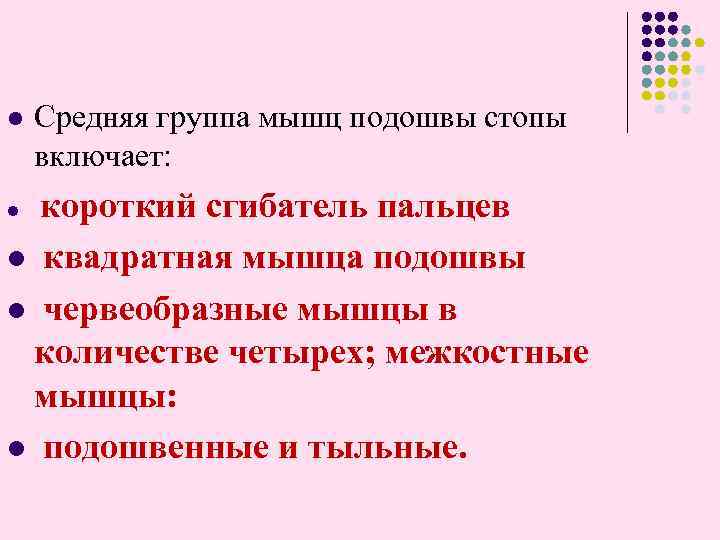 l l Средняя группа мышц подошвы стопы включает: короткий сгибатель пальцев квадратная мышца подошвы