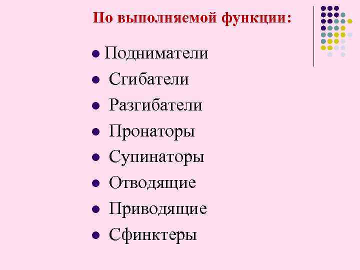  По выполняемой функции: Подниматели l Сгибатели l Разгибатели l Пронаторы l Супинаторы l