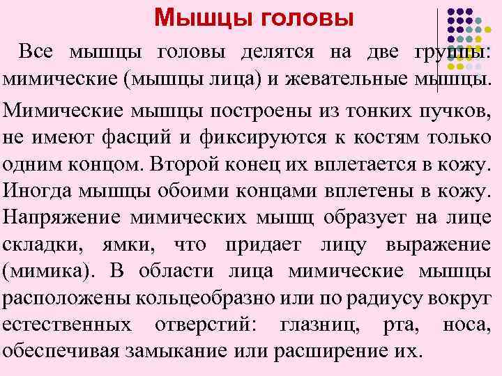 Мышцы головы Все мышцы головы делятся на две группы: мимические (мышцы лица) и жевательные