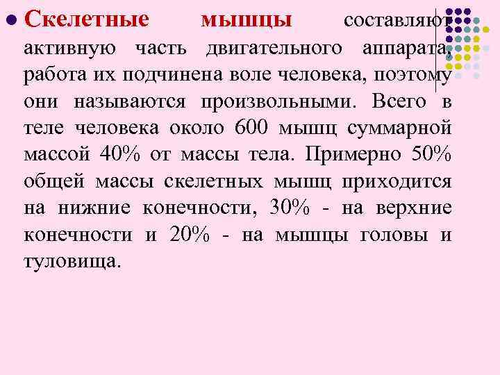 l Скелетные мышцы составляют активную часть двигательного аппарата, работа их подчинена воле человека, поэтому