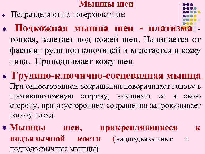 Мышцы шеи l Подразделяют на поверхностные: l Подкожная мышца шеи - платизма - тонкая,