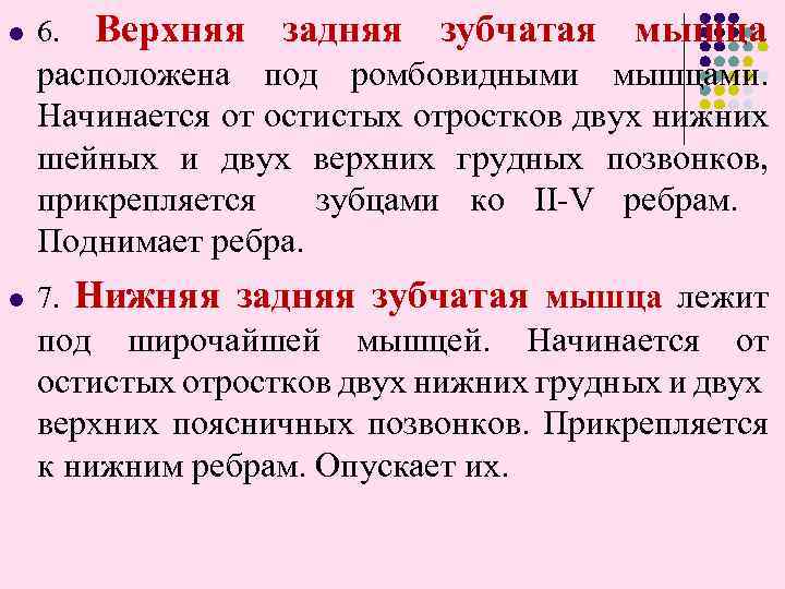 l 6. Верхняя задняя зубчатая мышца расположена под ромбовидными мышцами. Начинается от остистых отростков