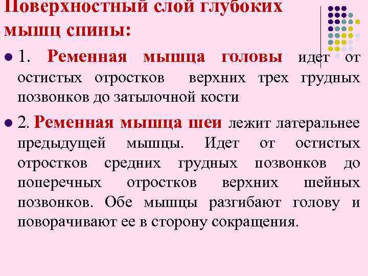 Поверхностный слой глубоких мышц спины: l 1. Ременная мышца головы идет от остистых отростков