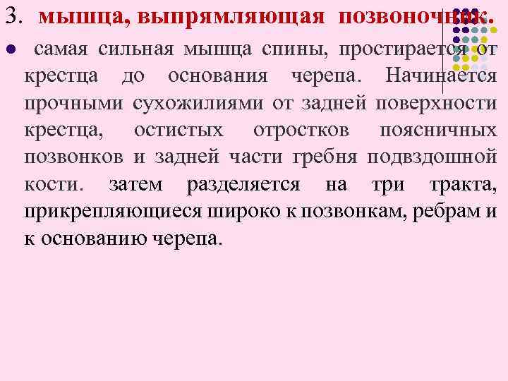 3. мышца, выпрямляющая позвоночник. l самая сильная мышца спины, простирается от крестца до основания