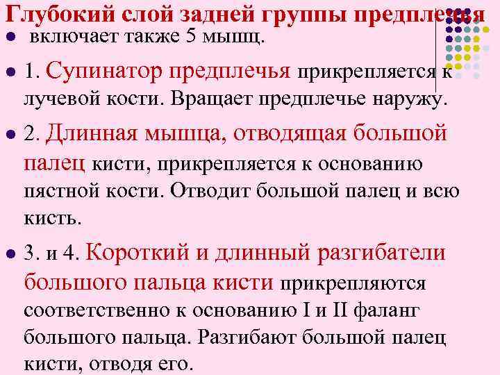 Глубокий слой задней группы предплечья l l включает также 5 мышц. 1. Супинатор предплечья