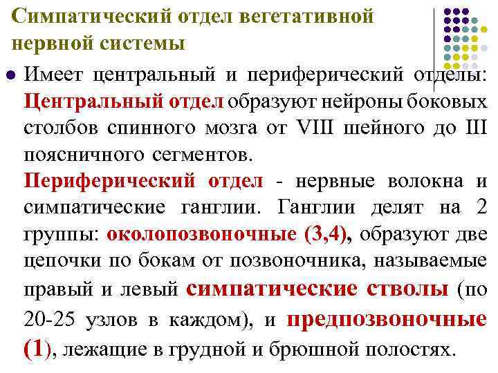 Симпатический отдел вегетативной нервной системы l Имеет центральный и периферический отделы: Центральный отдел образуют
