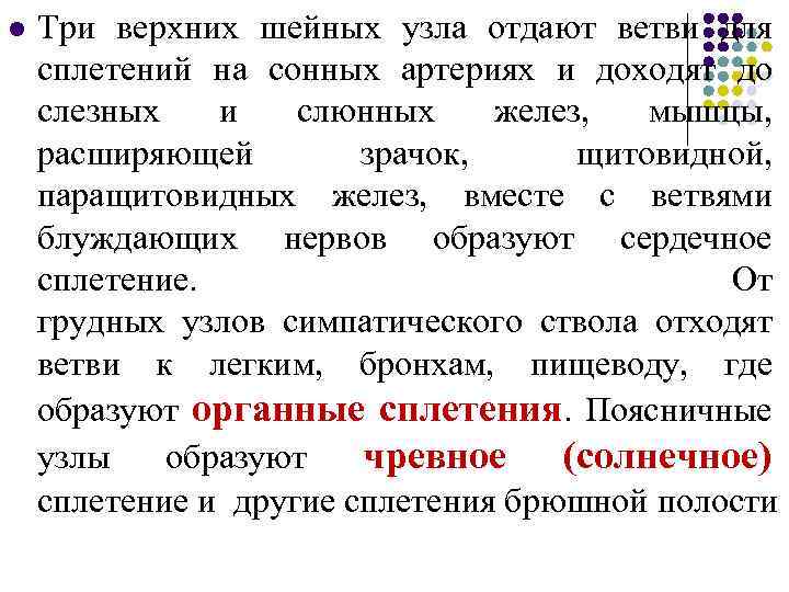 l Три верхних шейных узла отдают ветви для сплетений на сонных артериях и доходят