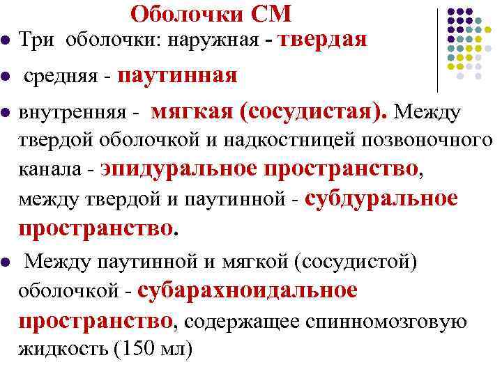 Оболочки СМ l Три оболочки: наружная - твердая l средняя - паутинная l внутренняя