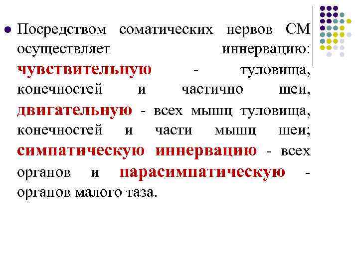 l Посредством соматических нервов СМ осуществляет иннервацию: чувствительную - туловища, конечностей и частично шеи,