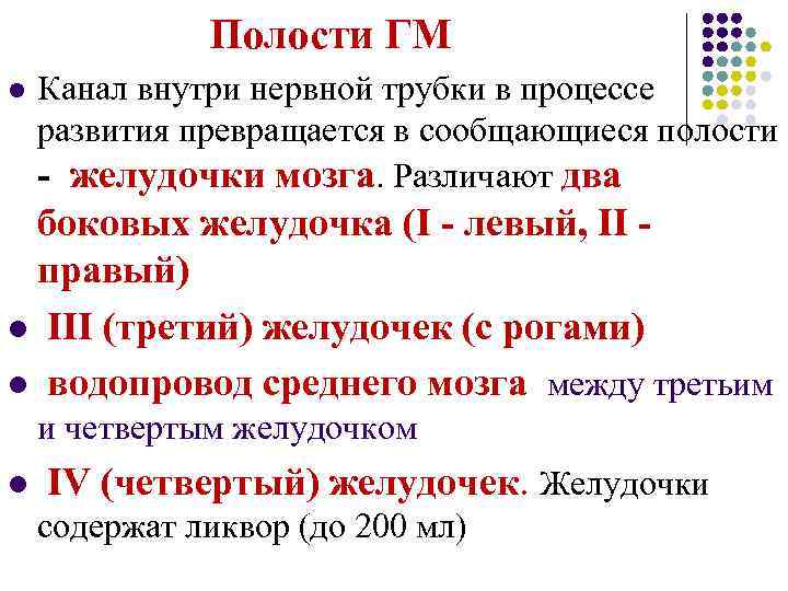 Полости ГМ l Канал внутри нервной трубки в процессе развития превращается в сообщающиеся полости