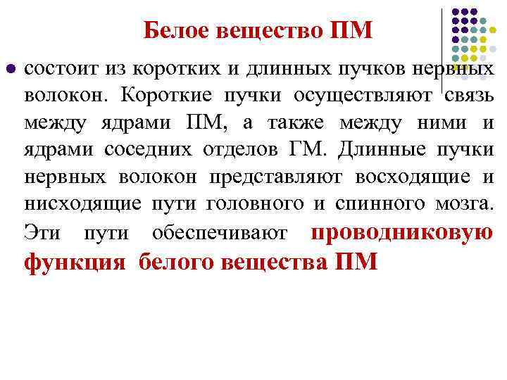 Белое вещество ПМ l состоит из коротких и длинных пучков нервных волокон. Короткие пучки