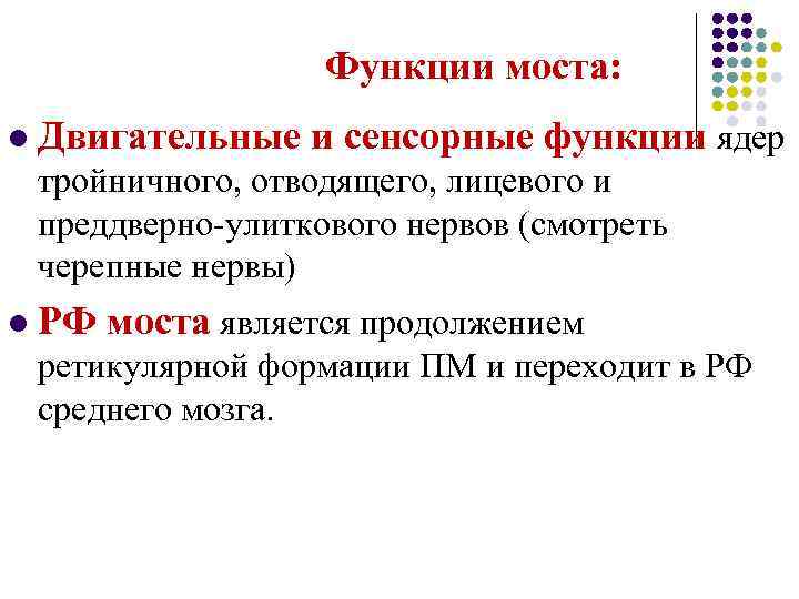 Функции моста: l Двигательные и сенсорные функции ядер тройничного, отводящего, лицевого и преддверно-улиткового нервов