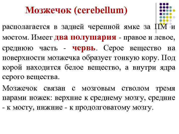 Мозжечок (cerebellum) располагается в задней черепной ямке за ПМ и мостом. Имеет два полушария