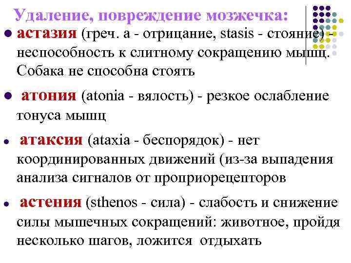 Удаление, повреждение мозжечка: l астазия (греч. а - отрицание, stasis - стояние) - неспособность
