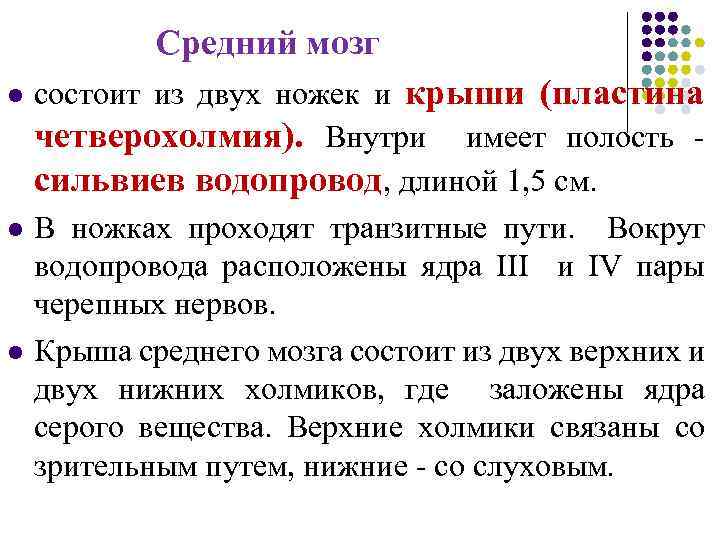 Средний мозг l l l состоит из двух ножек и крыши (пластина четверохолмия). Внутри
