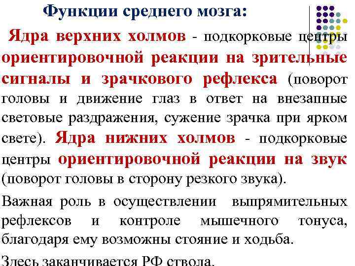 Функции среднего мозга: Ядра верхних холмов - подкорковые центры ориентировочной реакции на зрительные сигналы