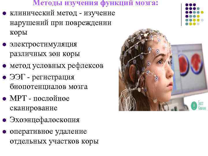 l l l l Методы изучения функций мозга: клинический метод - изучение нарушений при