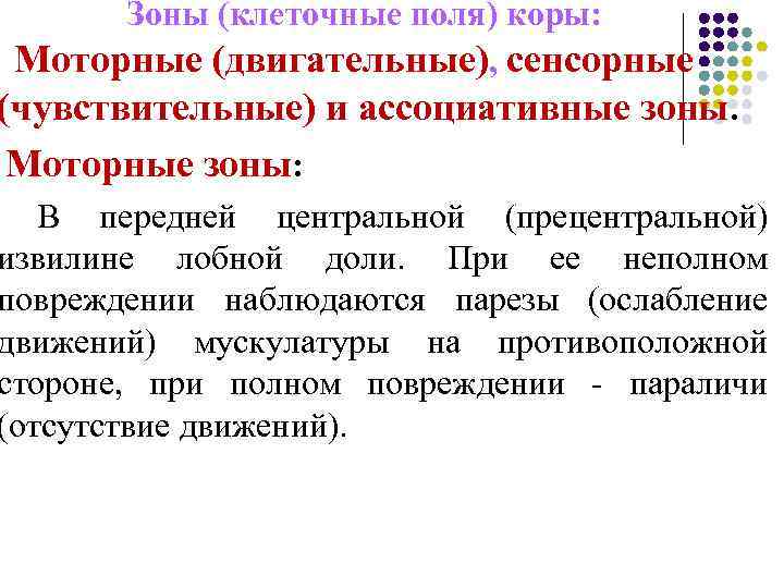 Зоны (клеточные поля) коры: Моторные (двигательные), сенсорные (чувствительные) и ассоциативные зоны. Моторные зоны: В