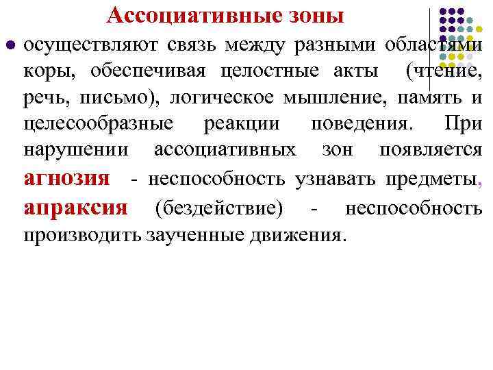  Ассоциативные зоны l осуществляют связь между разными областями коры, обеспечивая целостные акты (чтение,