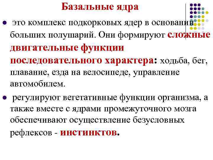 Базальные ядра l это комплекс подкорковых ядер в основании больших полушарий. Они формируют сложные