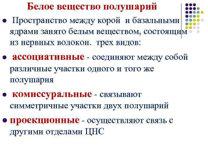 Белое вещество полушарий l l Пространство между корой и базальными ядрами занято белым веществом,