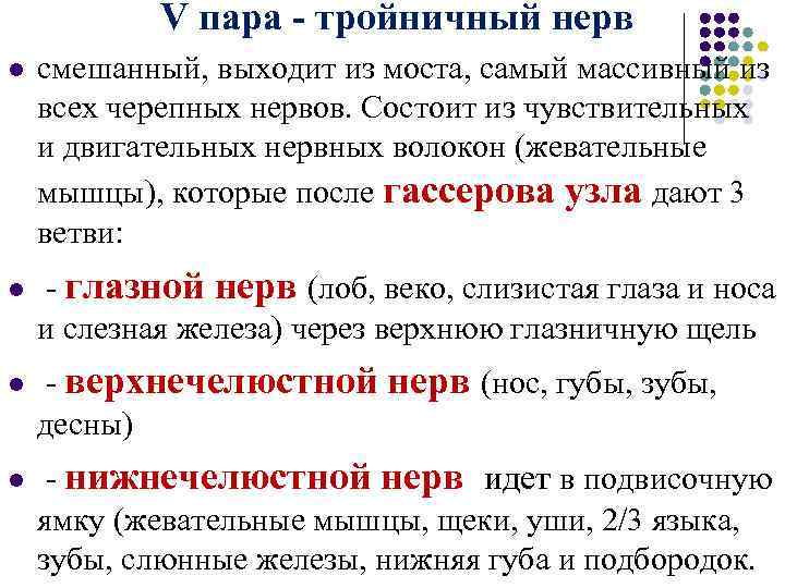  V пара - тройничный нерв l l смешанный, выходит из моста, самый массивный