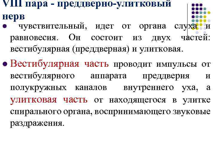 VIII пара - преддверно-улитковый нерв l чувствительный, идет от органа слуха и равновесия. Он