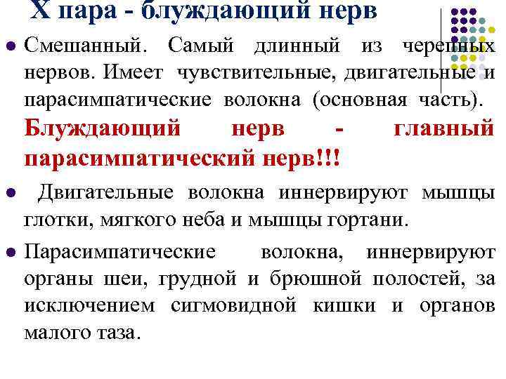 X пара - блуждающий нерв l Смешанный. Самый длинный из черепных нервов. Имеет чувствительные,
