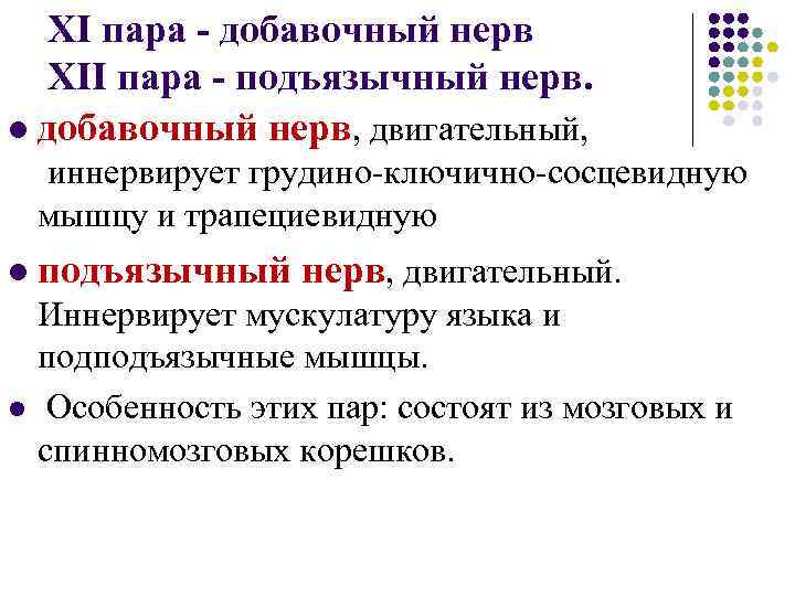XI пара - добавочный нерв XII пара - подъязычный нерв. l добавочный нерв, двигательный,