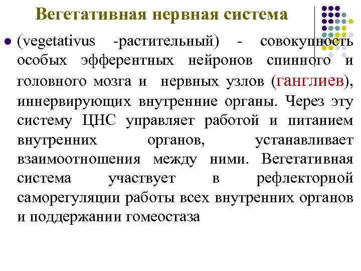 Вегетативная нервная система l (vegetativus -растительный) - совокупность особых эфферентных нейронов спинного и головного