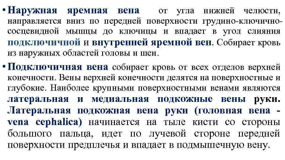  • Наружная яремная вена от угла нижней челюсти, направляется вниз по передней поверхности