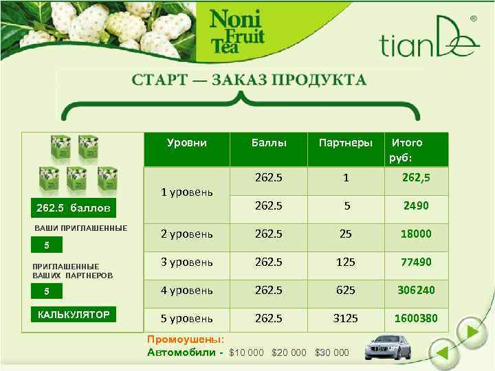Уровни Баллы Партнеры 262. 5 1 262, 5 262. 5 5 2490 2 уровень
