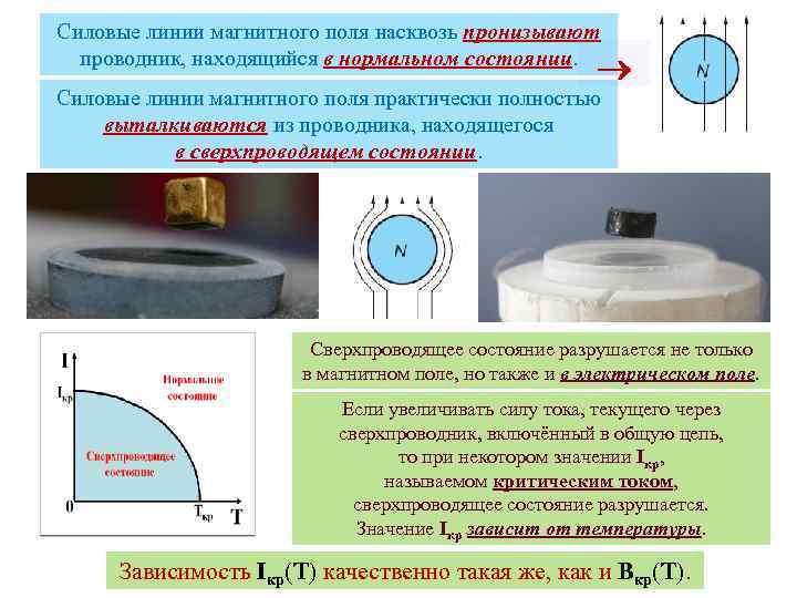 Силовые линии магнитного поля насквозь пронизывают проводник, находящийся в нормальном состоянии. Силовые линии магнитного