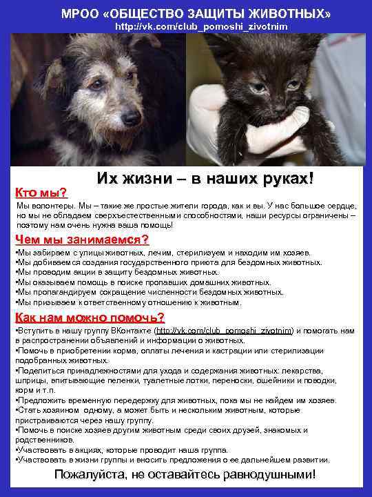 МРОО «ОБЩЕСТВО ЗАЩИТЫ ЖИВОТНЫХ» http: //vk. com/club_pomoshi_zivotnim Кто мы? Их жизни – в наших
