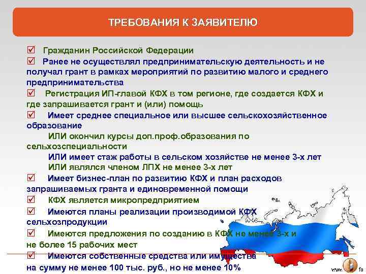 ТРЕБОВАНИЯ К ЗАЯВИТЕЛЮ þ Гражданин Российской Федерации þ Ранее не осуществлял предпринимательскую деятельность и