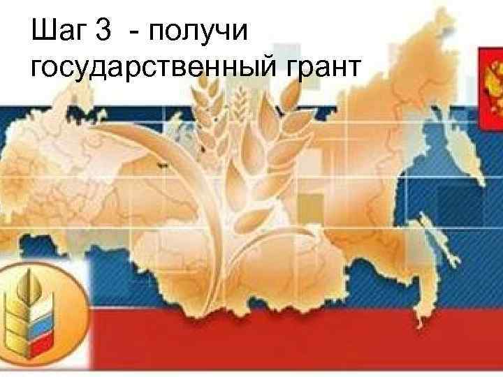 Шаг 3 - получи государственный грант 