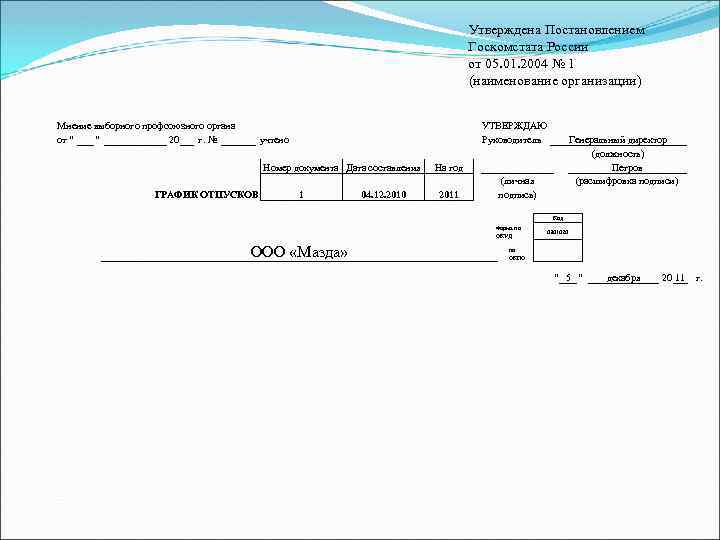 Утверждена Постановлением Госкомстата России от 05. 01. 2004 № 1 (наименование организации) Мнение выборного