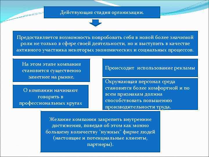 Действующая стадия организации. Предоставляется возможность попробовать себя в новой более значимой роли не только