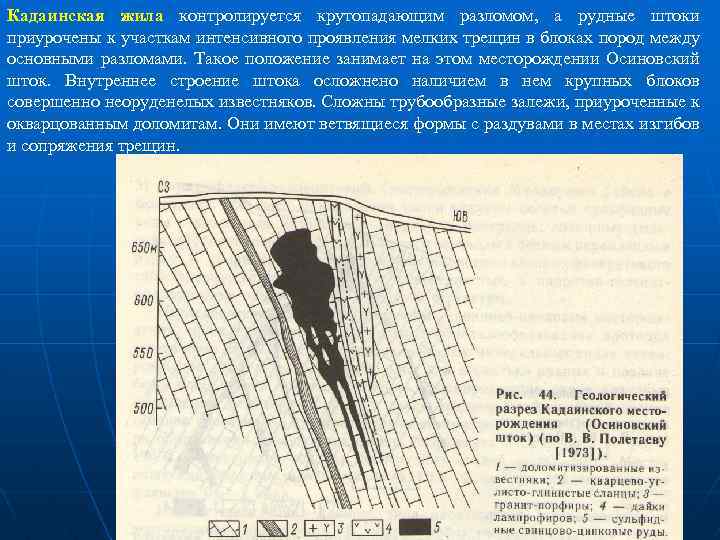 Кадаинская жила контролируется крутопадающим разломом, а рудные штоки приурочены к участкам интенсивного проявления мелких