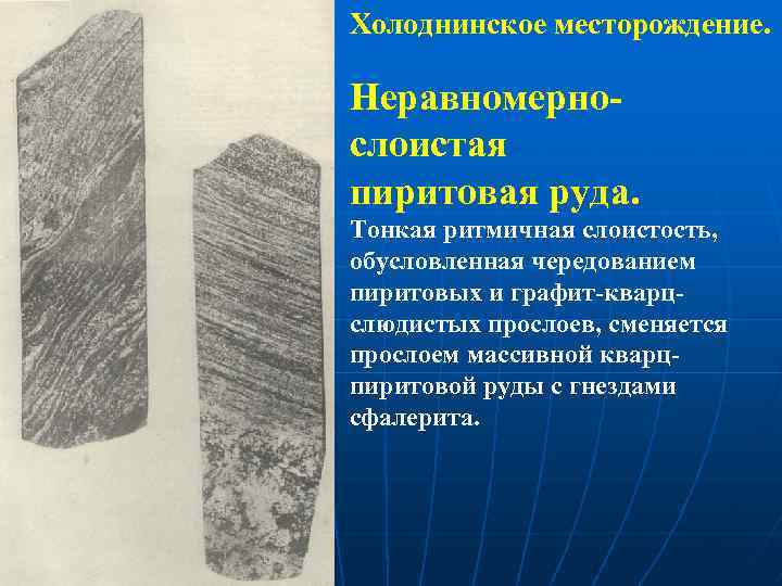 Холоднинское месторождение. Неравномернослоистая пиритовая руда. Тонкая ритмичная слоистость, обусловленная чередованием пиритовых и графит-кварцслюдистых прослоев,