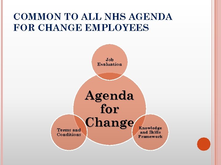 COMMON TO ALL NHS AGENDA FOR CHANGE EMPLOYEES Job Evaluation Terms and Conditions Agenda