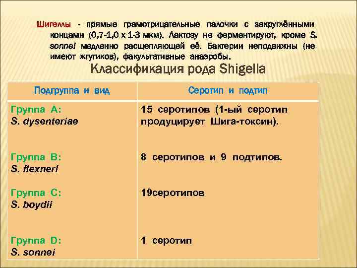 Шигеллы - прямые грамотрицательные палочки с закруглёнными концами (0, 7 -1, 0 х 1