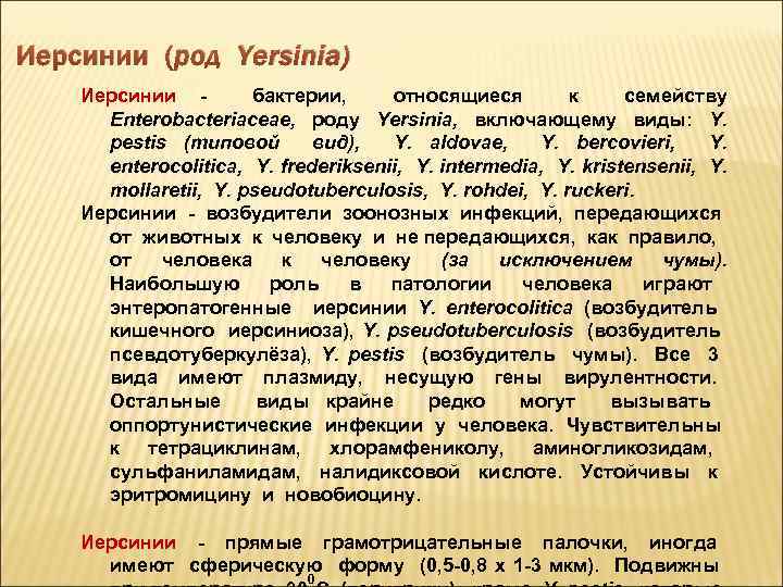 Иерсинии (род Yersinia) Иерсинии бактерии, относящиеся к семейству Enterobacteriaceae, роду Yersinia, включающему виды: Y.