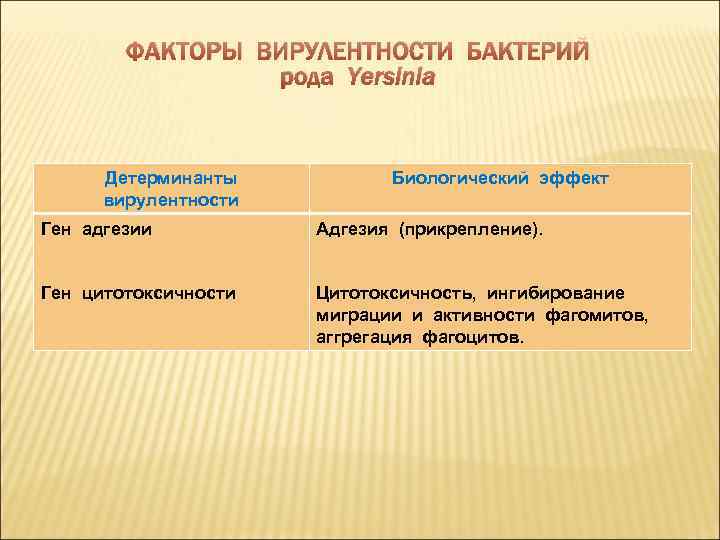 ФАКТОРЫ ВИРУЛЕНТНОСТИ БАКТЕРИЙ рода Yersinia Детерминанты вирулентности Биологический эффект Ген адгезии Адгезия (прикрепление). Ген